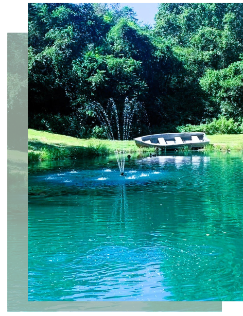 pond with fountain